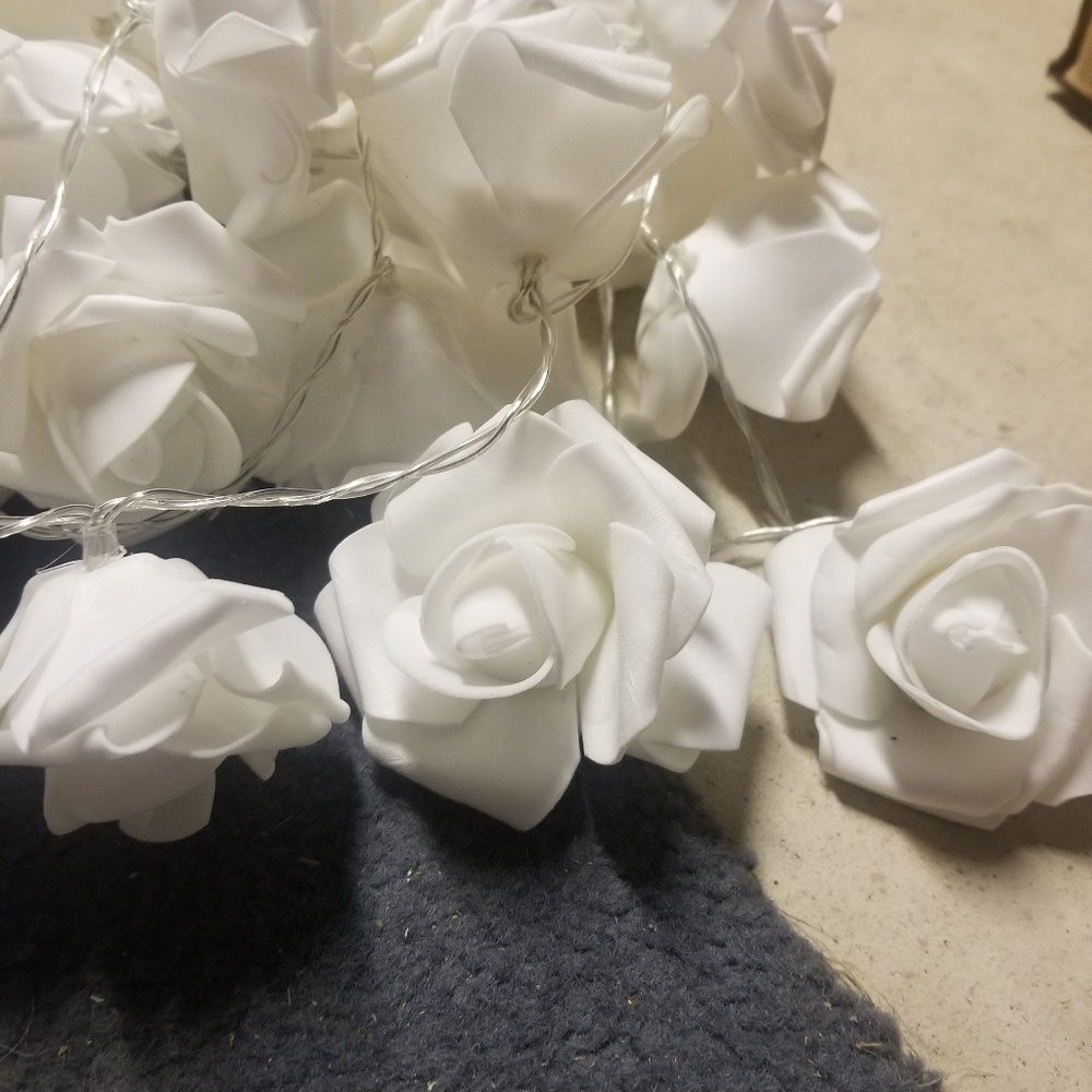 8 Foam Rose Lights